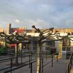 img-1181.jpg