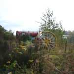 img-1195.jpg