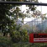 img-1201.jpg