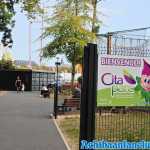 cita-parc-31-08-2019-029.jpg