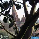 dlrp-240218-0130.jpg