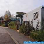 thorpe-park-20-10-2019-011.jpg