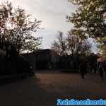 thorpe-park-20-10-2019-051.jpg