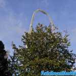 thorpe-park-20-10-2019-080.jpg