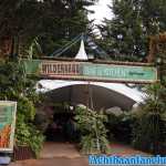 thorpe-park-20-10-2019-143.jpg