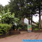 thorpe-park-20-10-2019-144.jpg