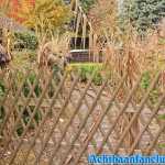 thorpe-park-20-10-2019-158.jpg