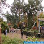 thorpe-park-20-10-2019-180.jpg