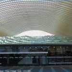 img-1703.jpg