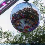 img-1938.jpg