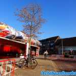lier-17-11-2018-0041.jpg
