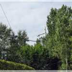 img-1364.jpg