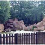 img-1459.jpg