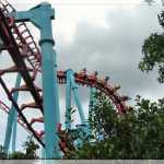 img-1595.jpg