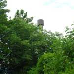 img-1035.jpg