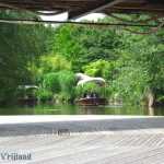 img-1057.jpg