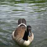img-1058.jpg