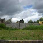 img-1063.jpg