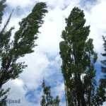 img-1075.jpg