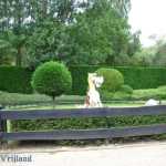 img-1077.jpg