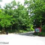 img-1080.jpg