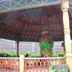 img-1092.jpg