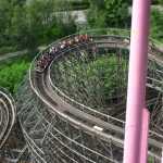 img-1155.jpg