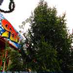 img-2918.jpg