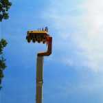 img-3942.jpg