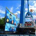 img-5347.jpg