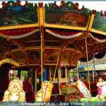img-5392.jpg