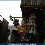 img-5575.jpg