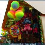 img-5637.jpg