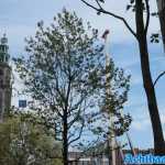groningen-09-05-2024-039.jpg