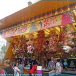 img-2919.jpg