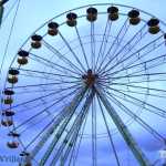 img-0016.jpg