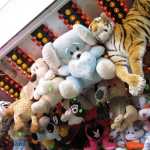 img-0024.jpg
