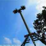 674c4e2d20483_img-7642.jpg