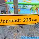 674c4c7867749_uden-20-07-2019-070.jpg