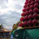 674c5bab98ae5_img-0008.jpg