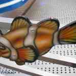 674c5bb33b35f_img-0066.jpg