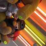 674c5bb61e81f_img-0089.jpg