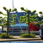 674c585bcc5c8_img-4231.jpg