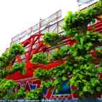 674c57e4e4a38_img-4470.jpg
