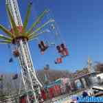 rotterdam-spinozapark-01-03-2023-011.jpg
