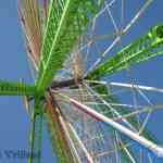 img-0176.jpg