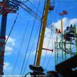 img-0338.jpg