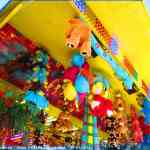 img-0687.jpg