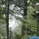 efteling-06-09-2024-027.jpg