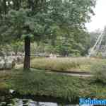 efteling-06-09-2024-065.jpg
